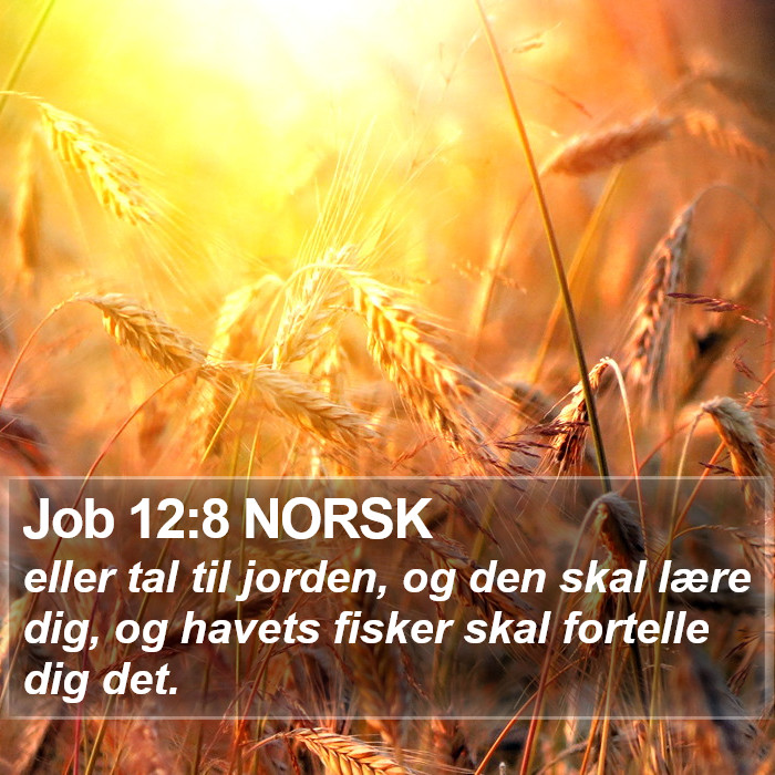 Job 12:8 NORSK Bible Study
