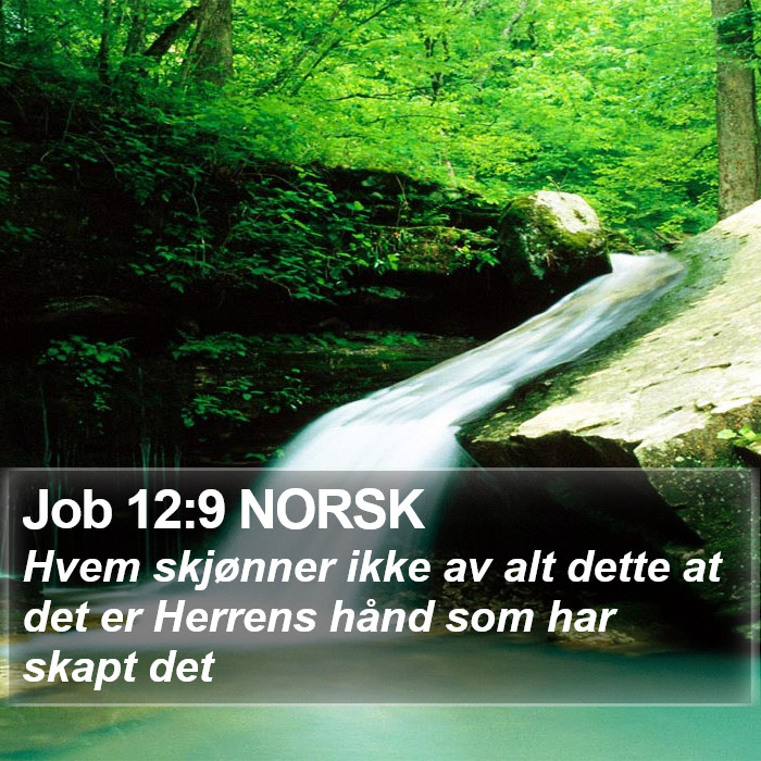 Job 12:9 NORSK Bible Study