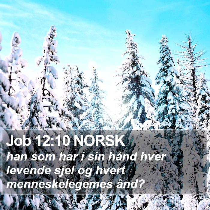 Job 12:10 NORSK Bible Study