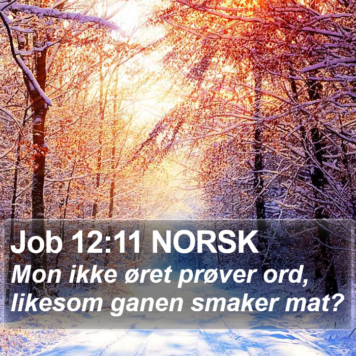 Job 12:11 NORSK Bible Study