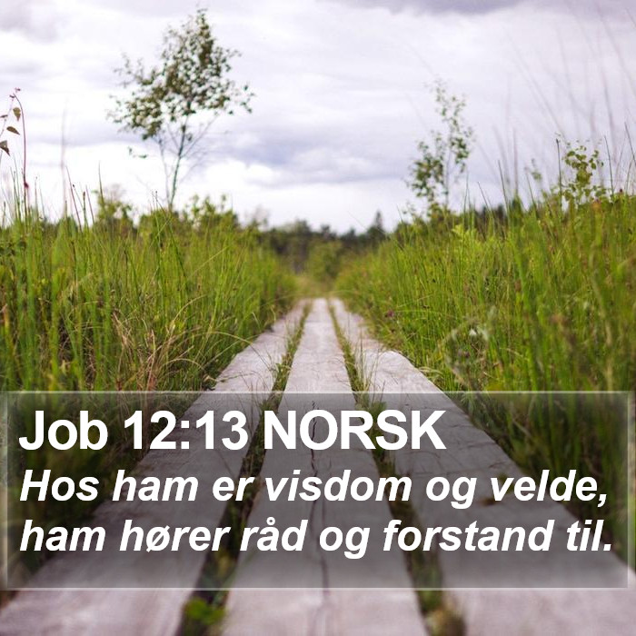 Job 12:13 NORSK Bible Study