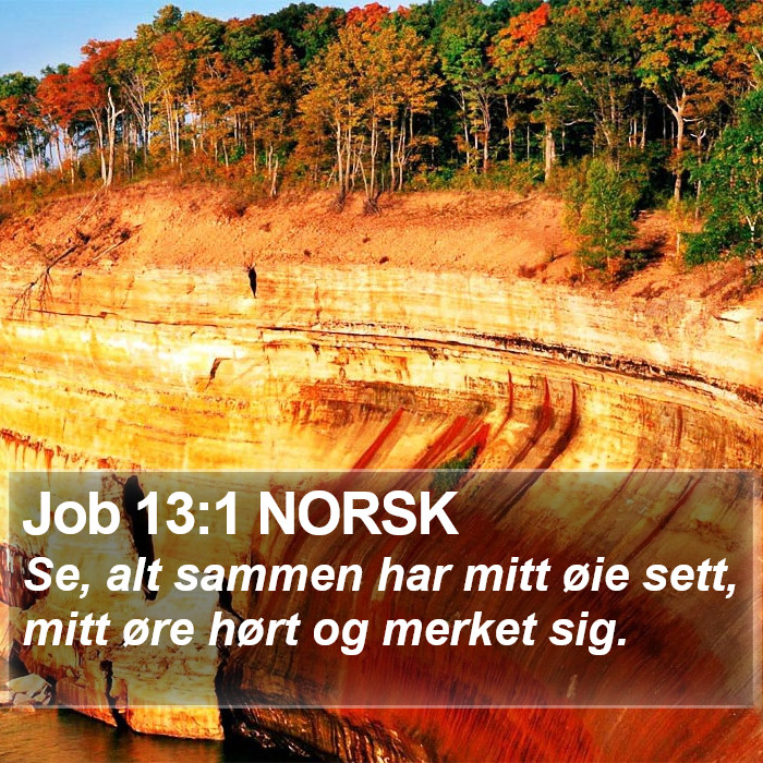 Job 13:1 NORSK Bible Study