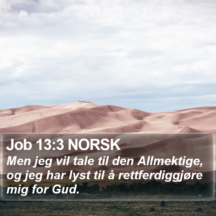 Job 13:3 NORSK Bible Study