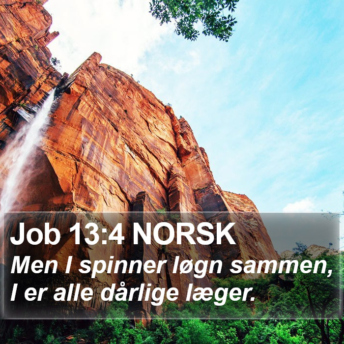 Job 13:4 NORSK Bible Study