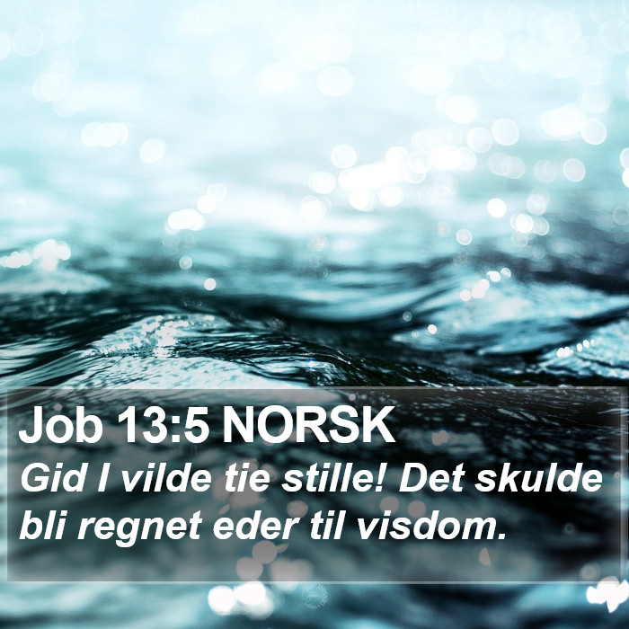 Job 13:5 NORSK Bible Study