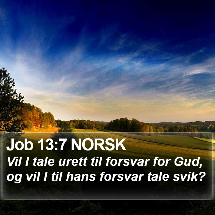 Job 13:7 NORSK Bible Study