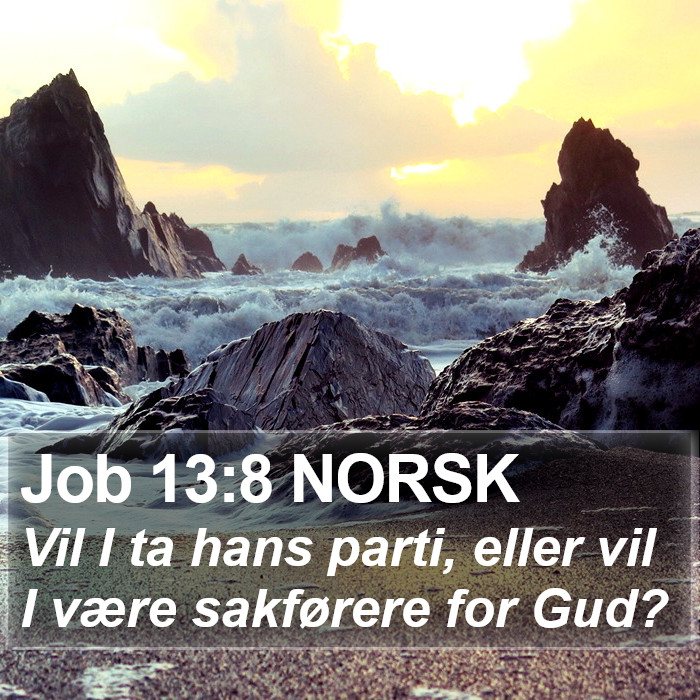 Job 13:8 NORSK Bible Study