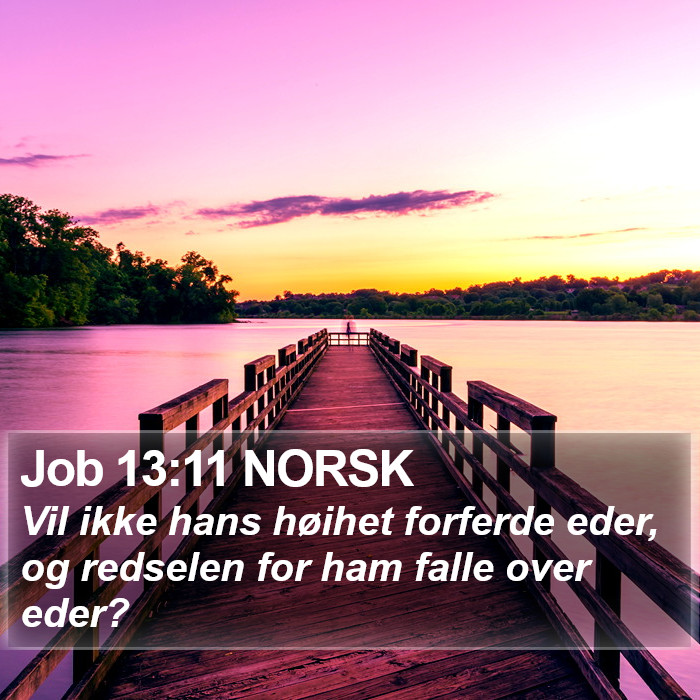 Job 13:11 NORSK Bible Study