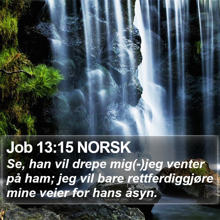 Job 13:15 NORSK Bible Study