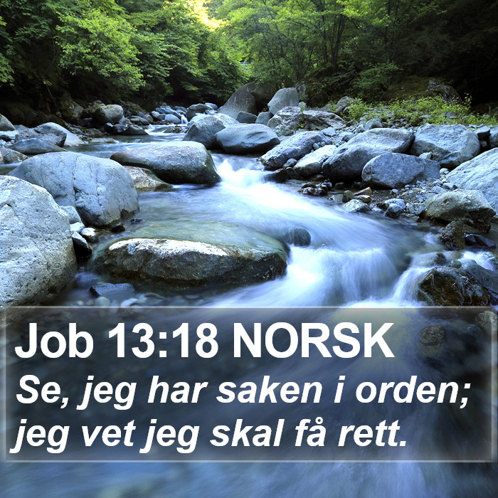 Job 13:18 NORSK Bible Study