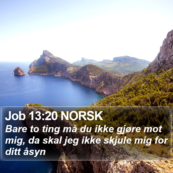 Job 13:20 NORSK Bible Study