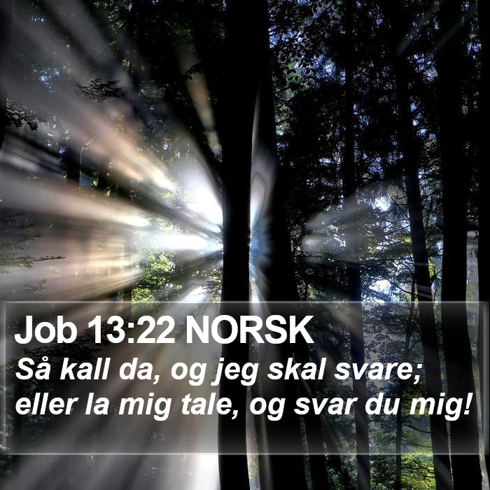 Job 13:22 NORSK Bible Study