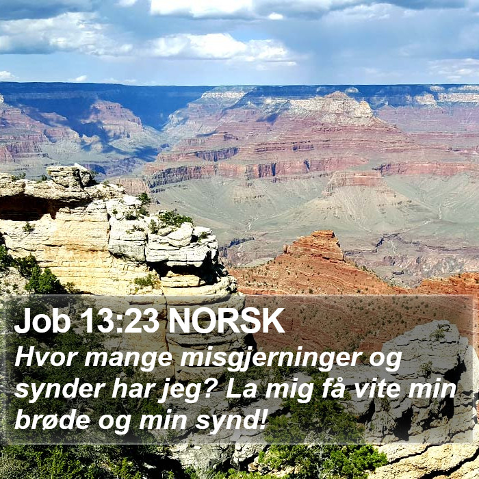 Job 13:23 NORSK Bible Study