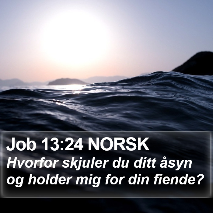 Job 13:24 NORSK Bible Study