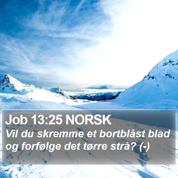 Job 13:25 NORSK Bible Study