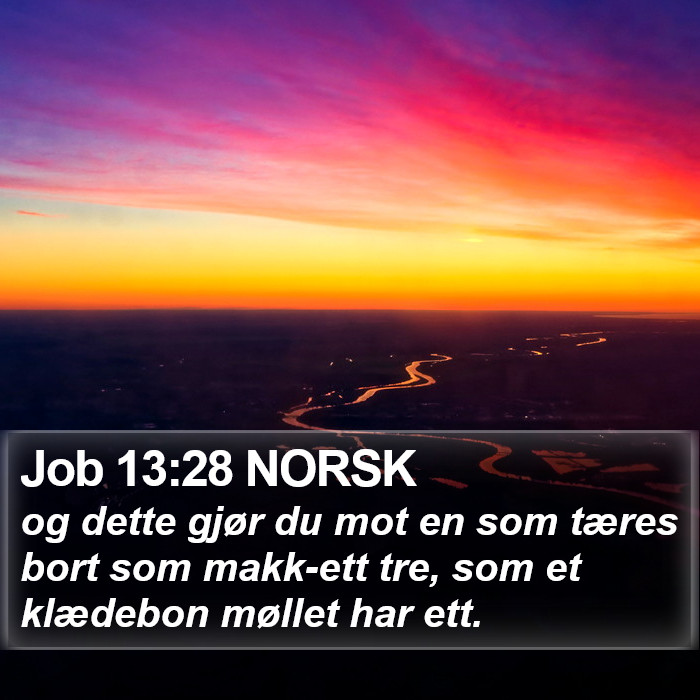 Job 13:28 NORSK Bible Study