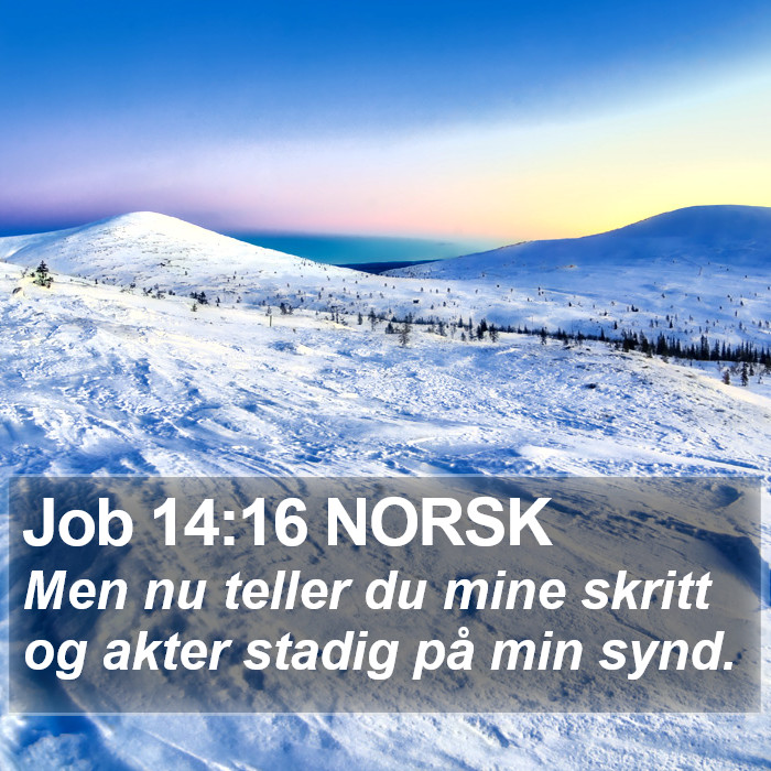 Job 14:16 NORSK Bible Study