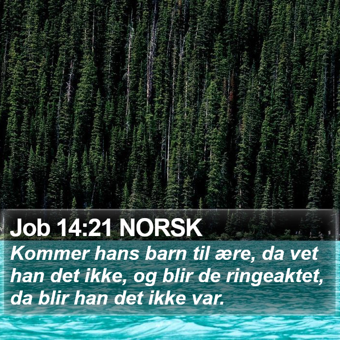 Job 14:21 NORSK Bible Study