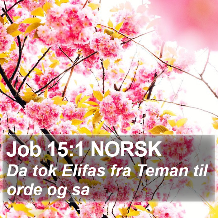 Job 15:1 NORSK Bible Study