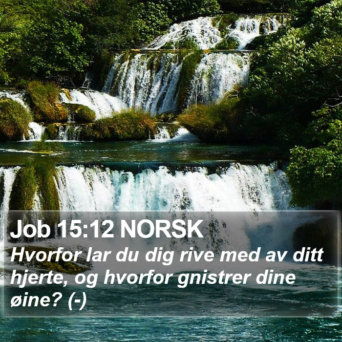 Job 15:12 NORSK Bible Study