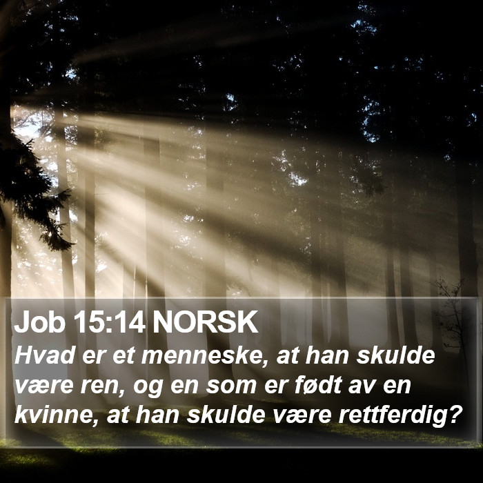 Job 15:14 NORSK Bible Study