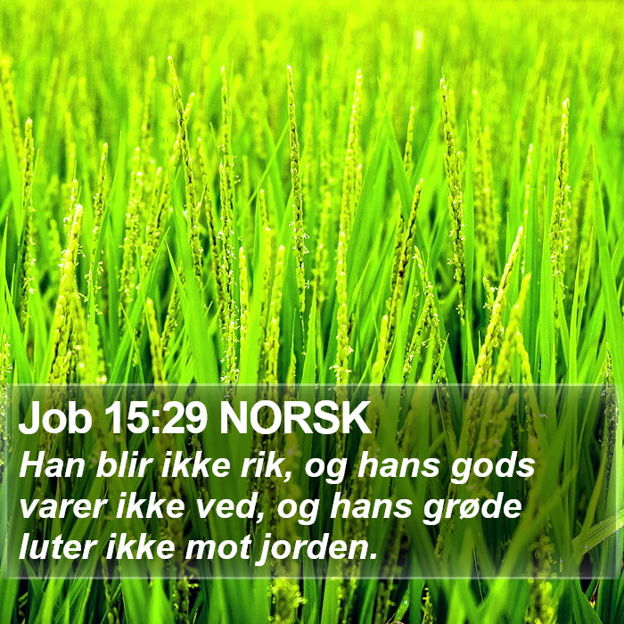 Job 15:29 NORSK Bible Study