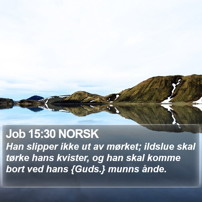 Job 15:30 NORSK Bible Study