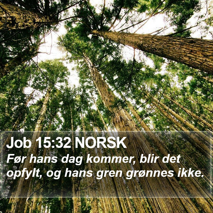 Job 15:32 NORSK Bible Study