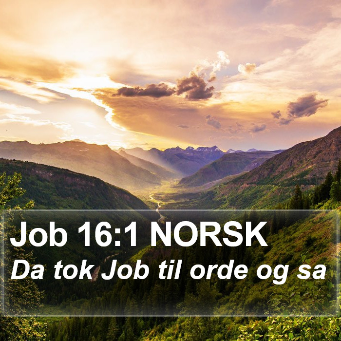 Job 16:1 NORSK Bible Study