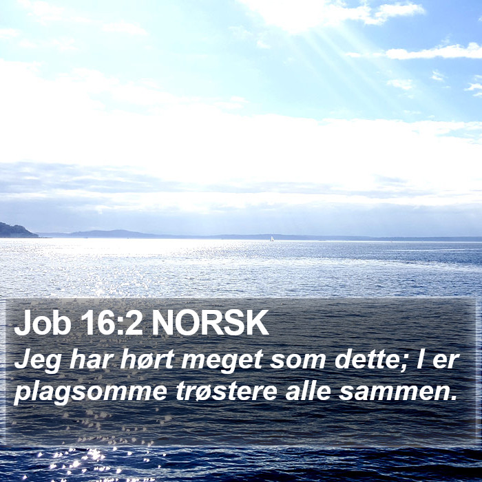 Job 16:2 NORSK Bible Study