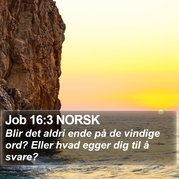 Job 16:3 NORSK Bible Study