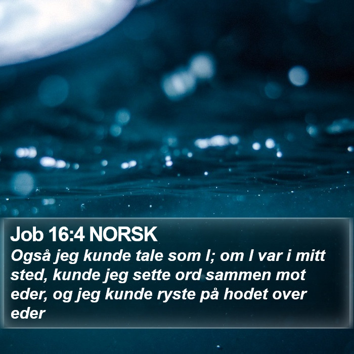 Job 16:4 NORSK Bible Study