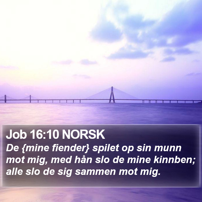 Job 16:10 NORSK Bible Study