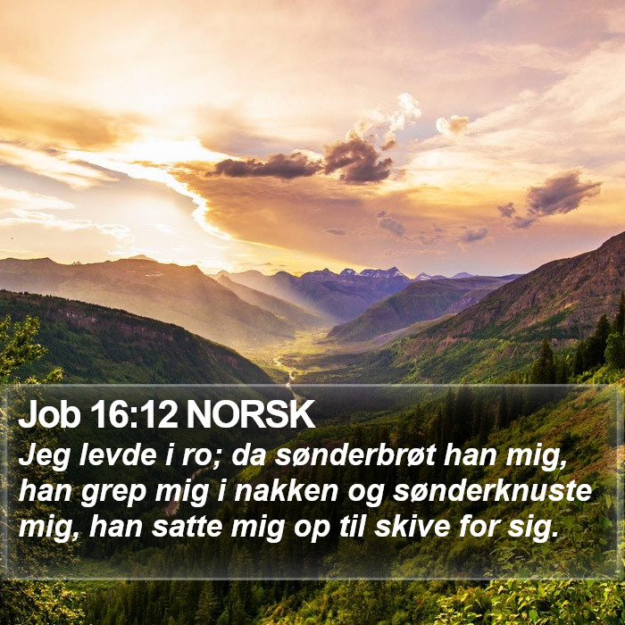 Job 16:12 NORSK Bible Study