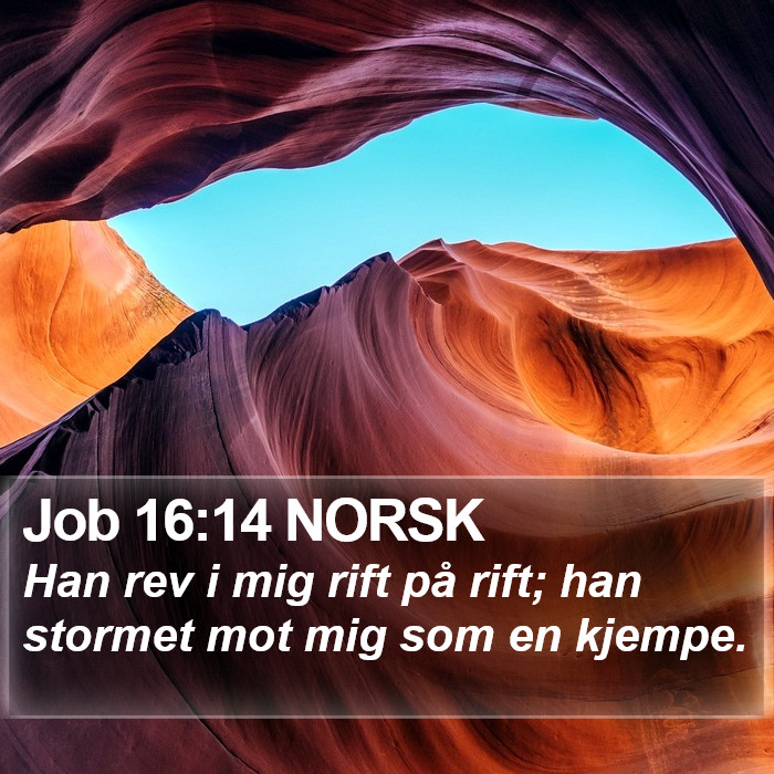 Job 16:14 NORSK Bible Study