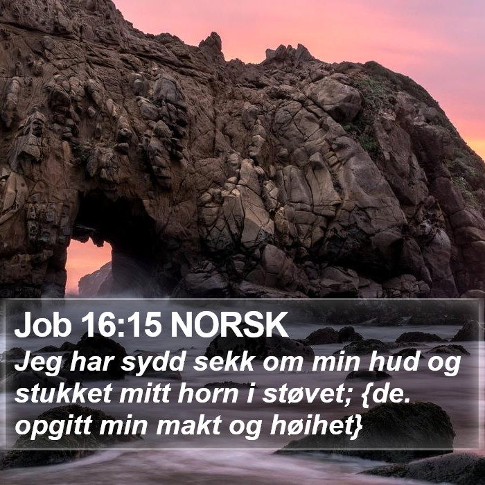 Job 16:15 NORSK Bible Study