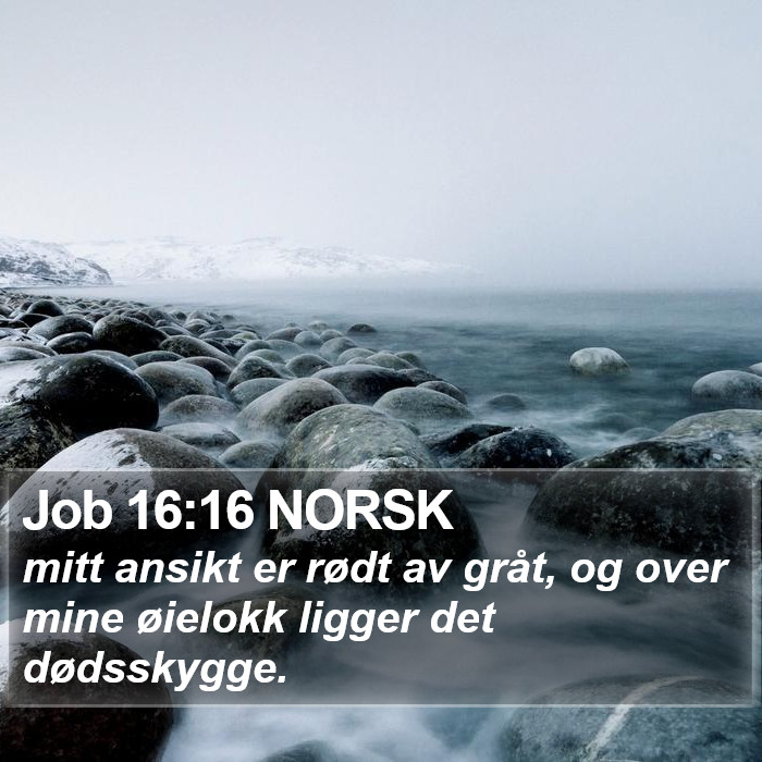 Job 16:16 NORSK Bible Study