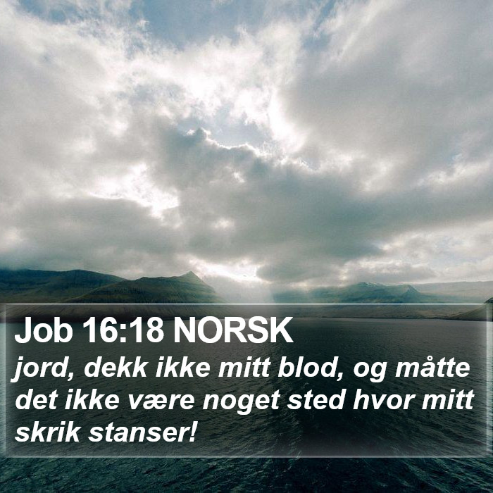 Job 16:18 NORSK Bible Study