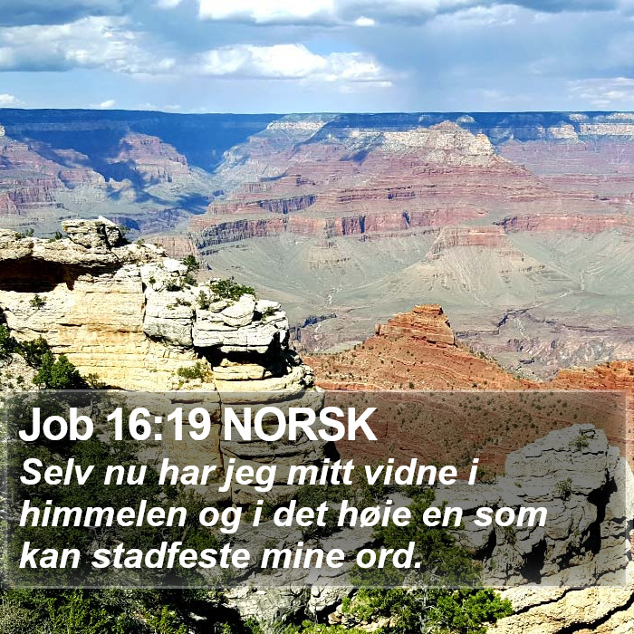 Job 16:19 NORSK Bible Study