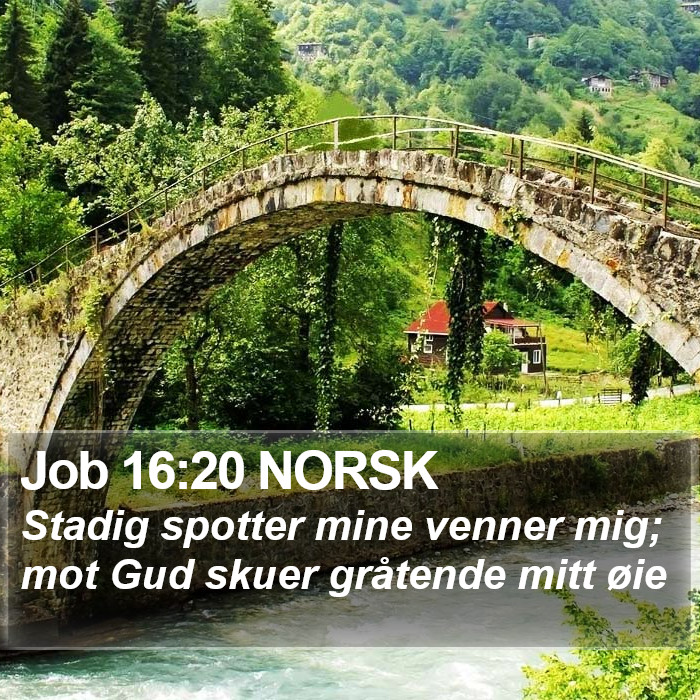 Job 16:20 NORSK Bible Study