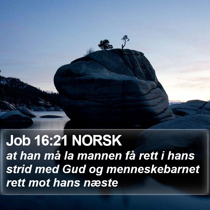 Job 16:21 NORSK Bible Study