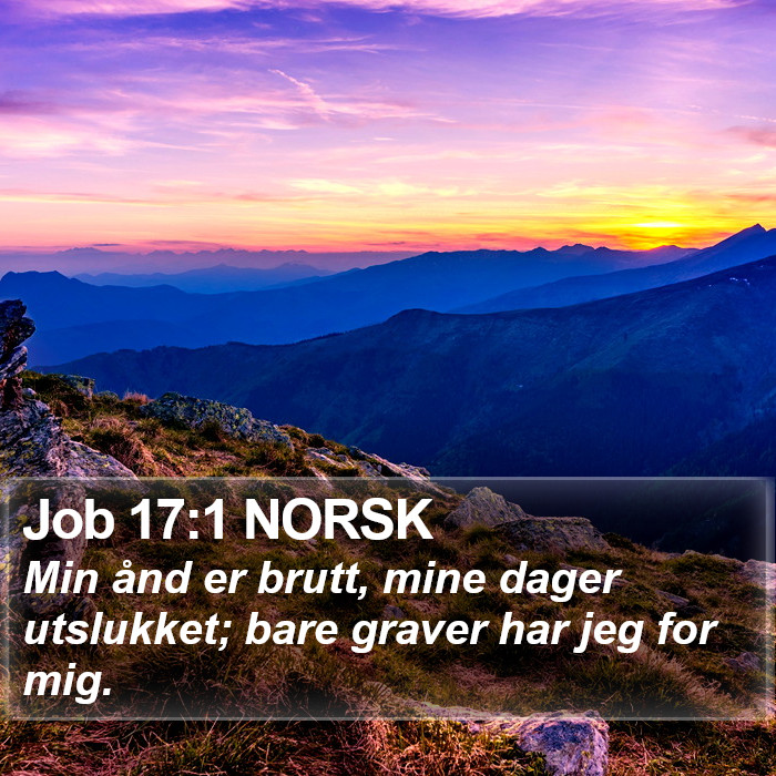 Job 17:1 NORSK Bible Study