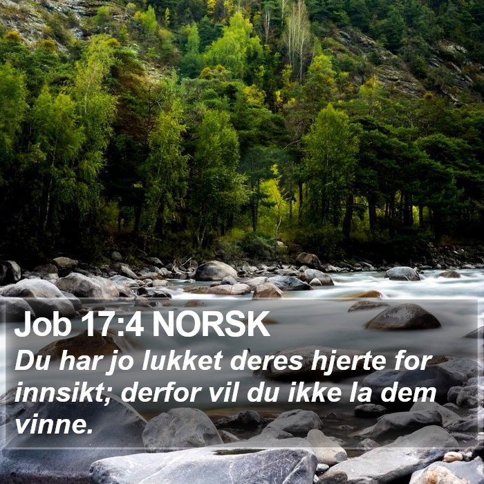 Job 17:4 NORSK Bible Study