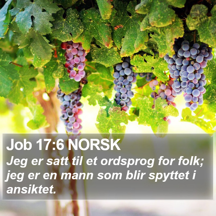 Job 17:6 NORSK Bible Study