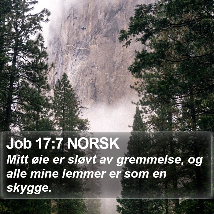 Job 17:7 NORSK Bible Study