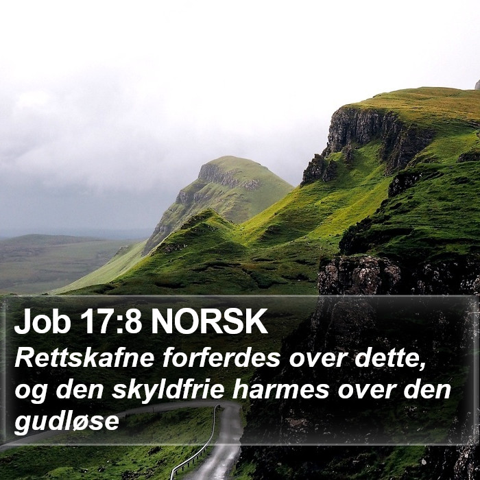 Job 17:8 NORSK Bible Study