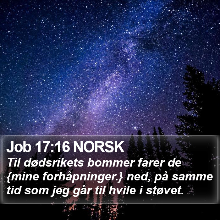 Job 17:16 NORSK Bible Study