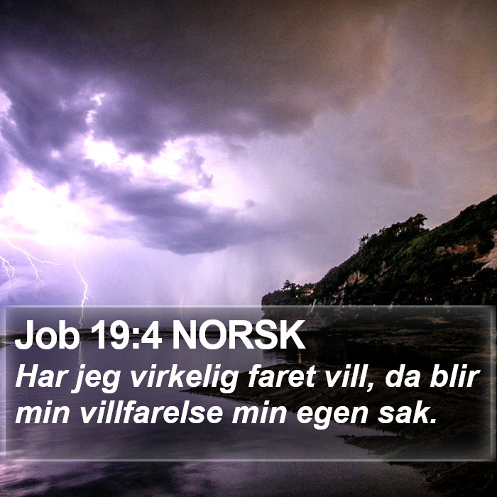 Job 19:4 NORSK Bible Study