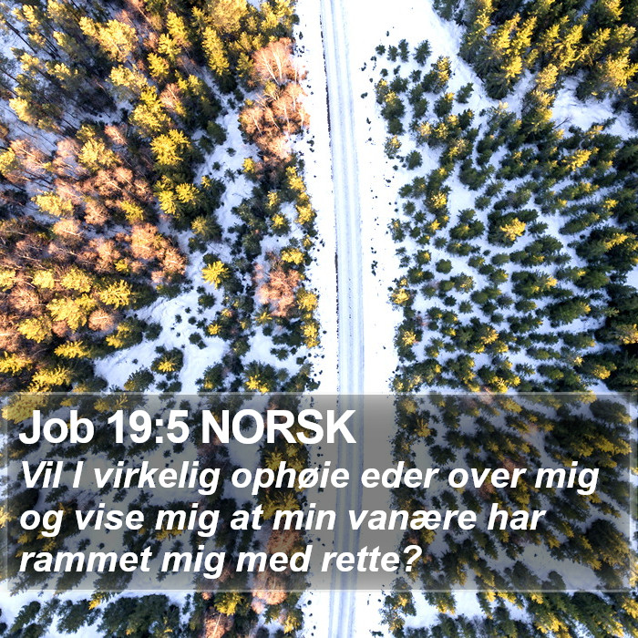 Job 19:5 NORSK Bible Study