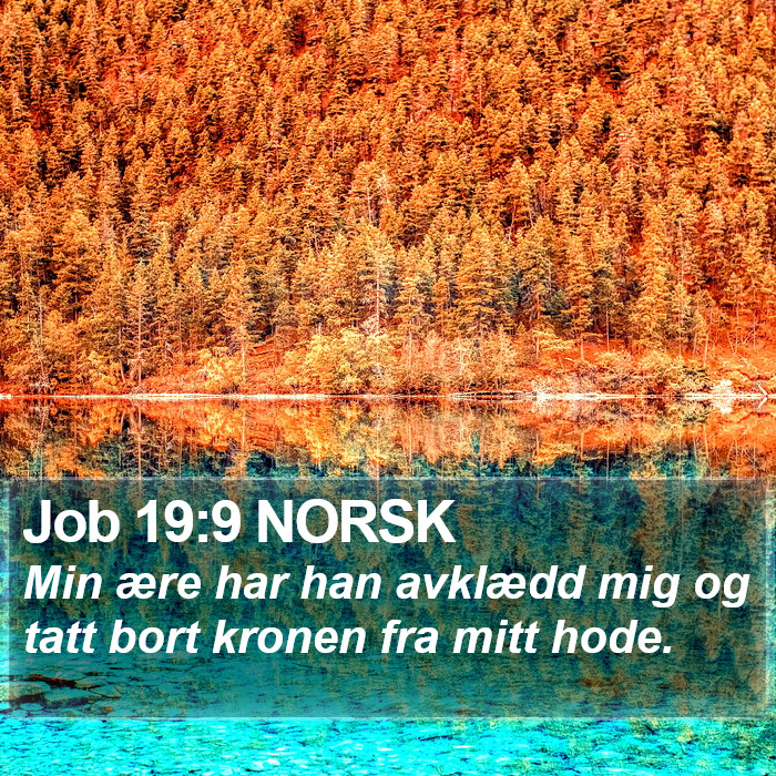 Job 19:9 NORSK Bible Study